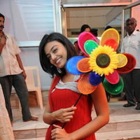 Nikitha Narayan New Pictures | Picture 68841